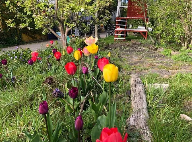 Houseboat With Water Terrace, Free Bikes & Fast Wifi 4* Amszterdam