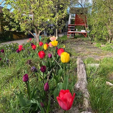 Houseboat With Water Terrace, Free Bikes & Fast Wifi 4* אמסטרדם